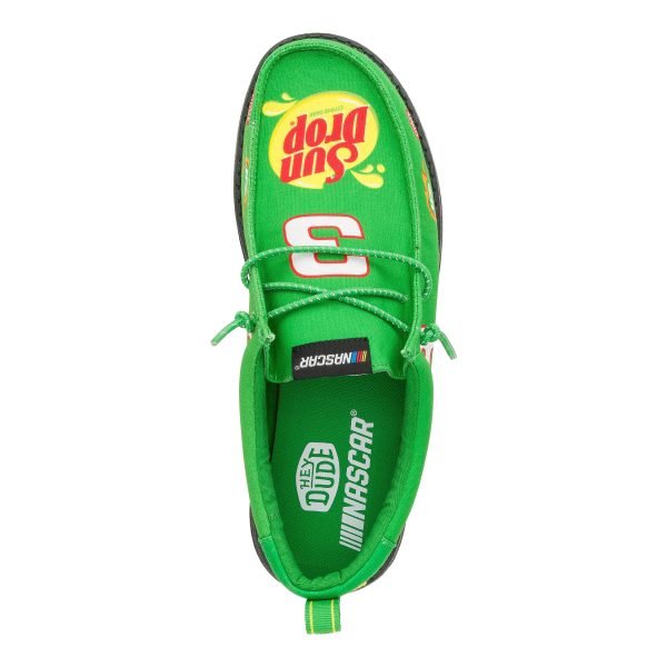 Wally NASCAR Dale Earnhardt JR. - Green/Multi - Image 7